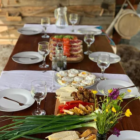 Cabana Cãsuta Din Pãdure Case de vacanță *