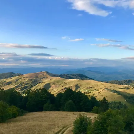 Case de vacanță Cabana Cãsuta Din Pãdure