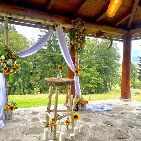 Cabana Cãsuta Din Pãdure Case de vacanță *