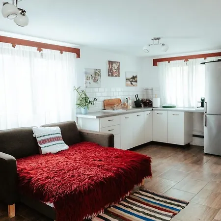 Cabana Cãsuta Din Pãdure Case de vacanță